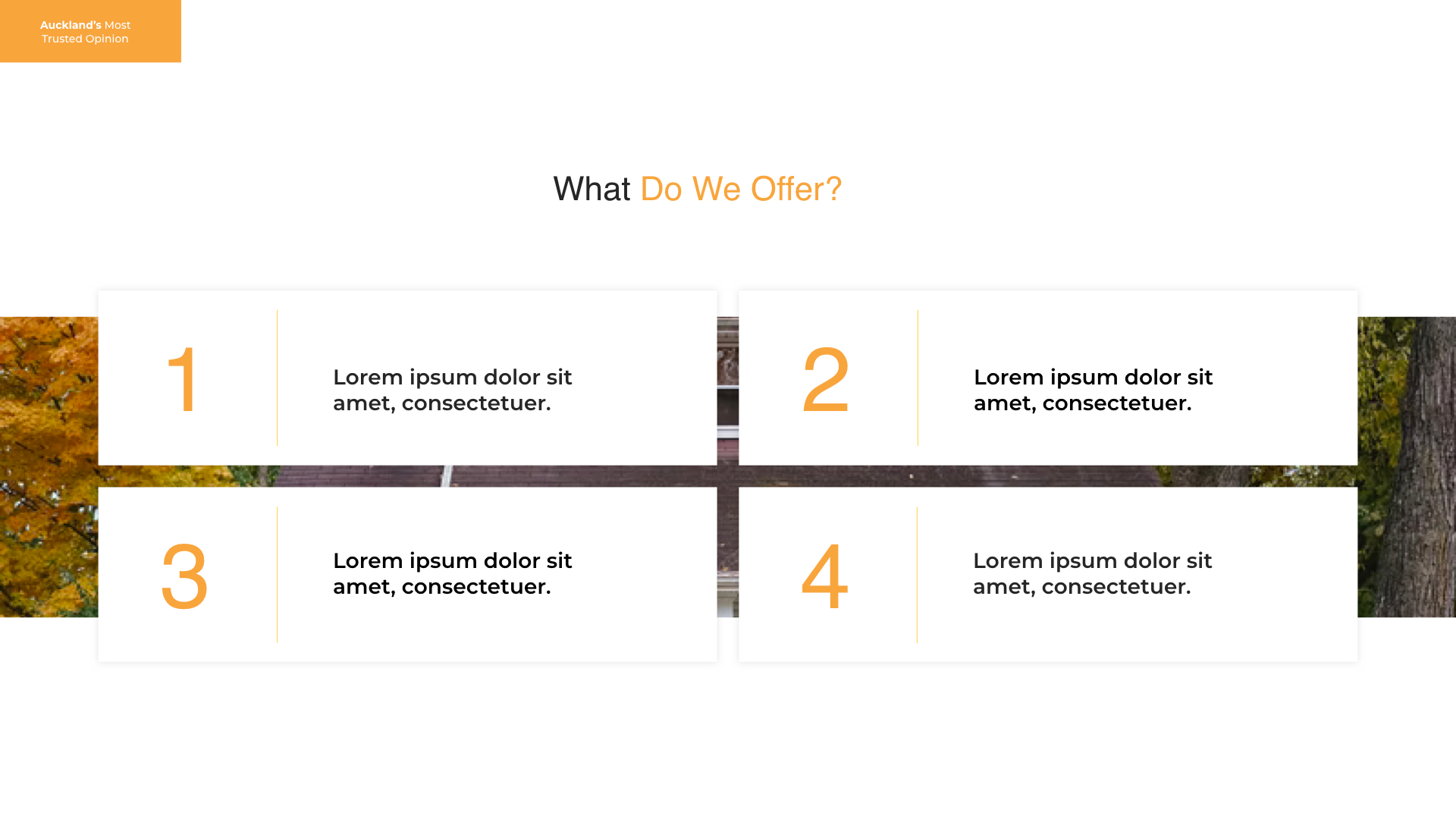 FINAL-edited-mockup.002.webp