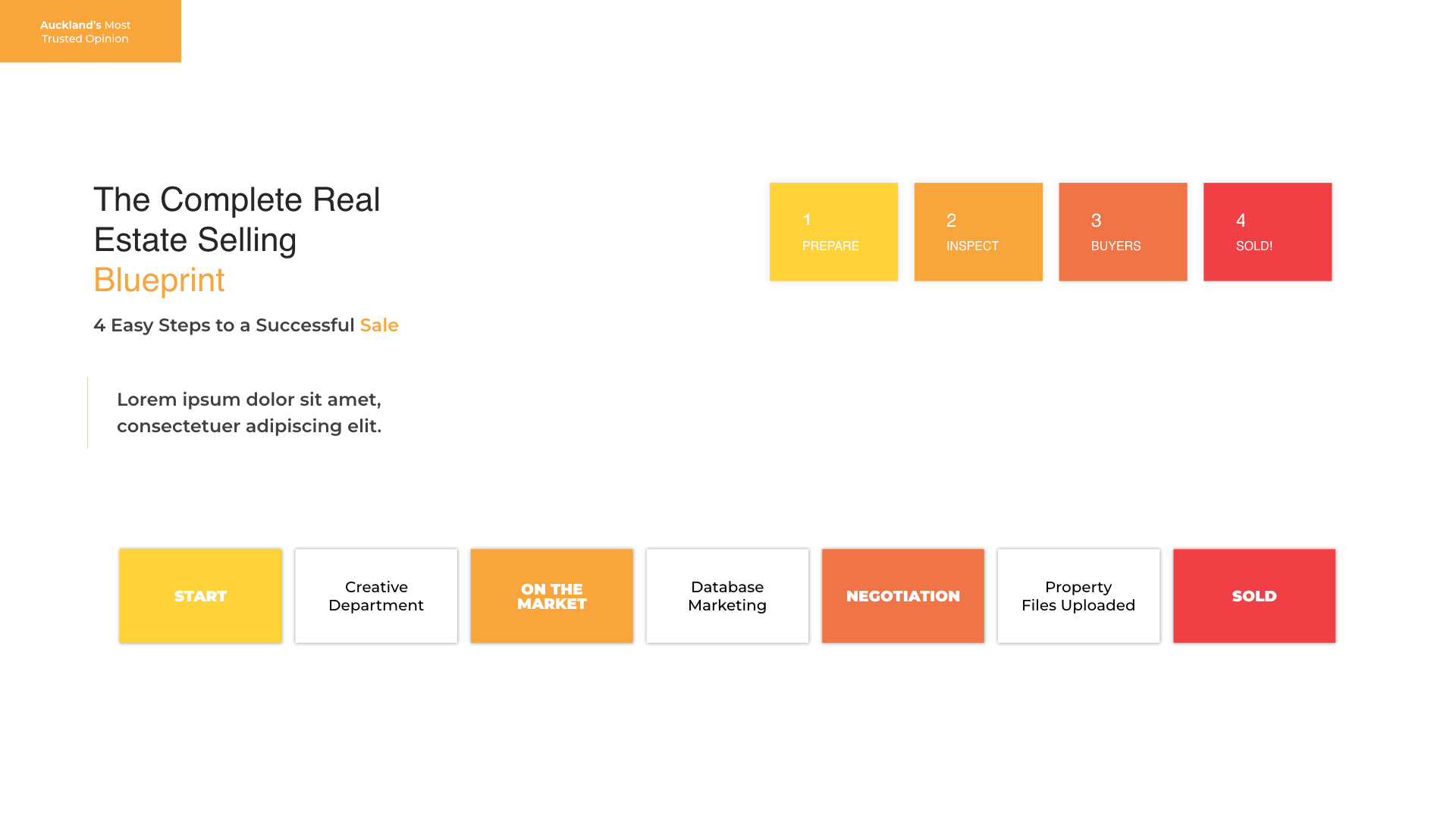 FINAL-edited-mockup.004.webp
