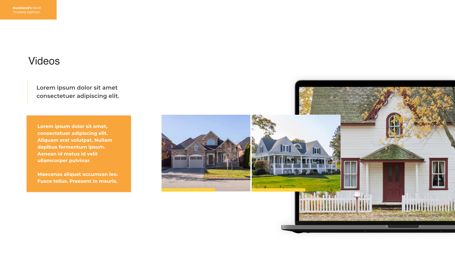 FINAL-edited-mockup.006.webp
